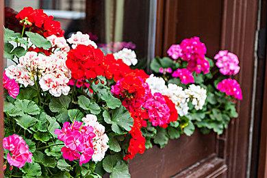 Gearbox预测《无主之地4》至少能卖出800万套